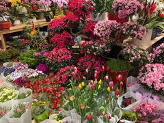 -双季花艺园艺市场(浦东店)