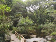 -木兰云雾山