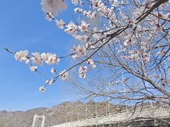 -靠山屯东北农家菜(八龙桥雅苑店)