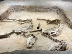 -洛阳周王城天子驾六博物馆