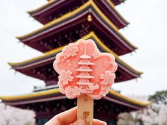 -东湖磨山景区
