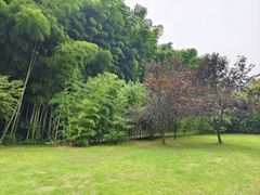 -苏州环秀晓筑养生度假村