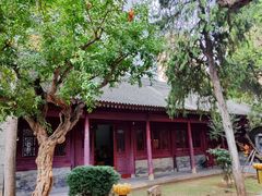 -罔极寺