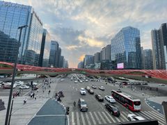 -合景·悠方(成都店)