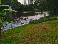 -晓港公园