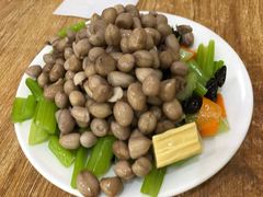 -杨记老门框百年卤煮(回龙观文华西路店)