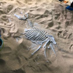 -恐龙探索乐园(磁器口店)