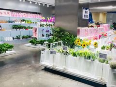 -盒马X会员店(王府井奥莱UP TOWN店)