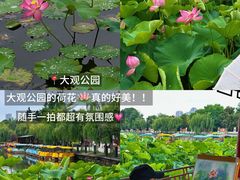 -怡得观滇餐厅·地道昆明菜·1996(海埂大坝店)
