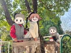 -玛利娅蒙特梭利双语幼儿园·托育(百家湖直营园)