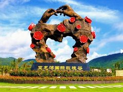 -亚龙湾国际玫瑰谷