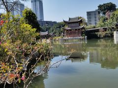 -乌山风景区