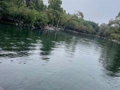 -百脉泉景区