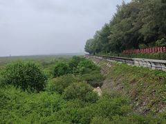 -北海金海湾红树林生态旅游区