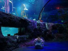 -沈阳海洋探索中心