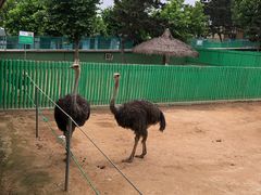 -西霞口神雕山野生动物世界