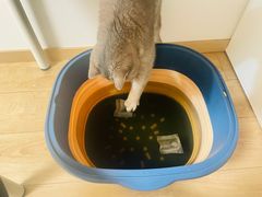 -纳吉亚猫专科动物医院·北北分院
