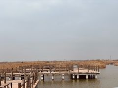 -宁波杭州湾国家湿地公园