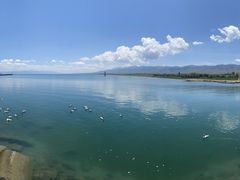 -青海湖国家重点风景名胜区