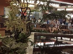 -好彩猪肚鸡(正弘城店)