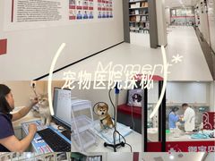-御宝贝24h宠物医院·转诊中心·CT核磁血透中心(厦门总院)