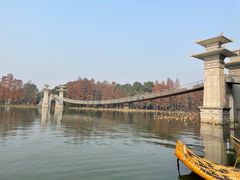 -东湖落雁景区
