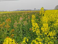 -中国天府农业博览园