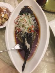 -上海海鸥丽晶酒店·宴会厅
