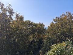 -青岛崂山太清宫