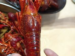 清蒸精品小龙虾(小份)-怪怪龙虾·来自江苏盱眙(惊驾路店)