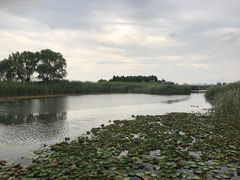 -太湖湖滨国家湿地公园-停车场