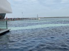 -贝林大翅鲸简餐厅(国家海洋博物馆店)