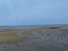 -北海金海湾红树林生态旅游区