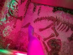-青藤汗蒸时代会所