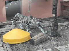 -青藏高原野生动物园