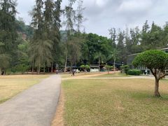 -南宁良凤江国家森林公园