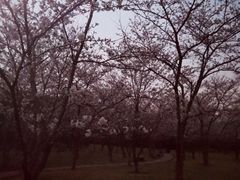 -和先生的砂锅鱼(八方汇店)