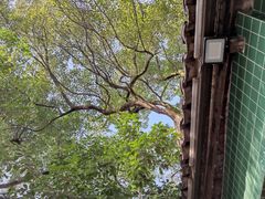 -一江春水·杭帮臻宴(三台山店)