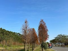 -露天矿生态公园