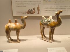 -深圳博物馆(古代艺术馆)