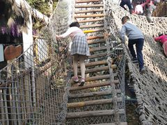 -呀路古热带植物园