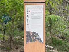 -北京鹫峰国家森林公园