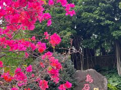 -乌山风景区