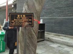 -关林