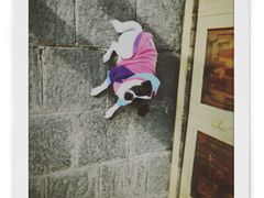 -再回首鸡肉米线(人民路一店)