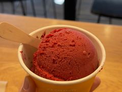 -Patagonia Chocolates(皇后镇店)