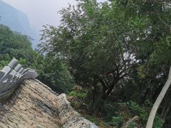 -阳台山自然风景区