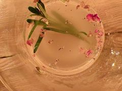 -Sirena海妖日咖夜酒