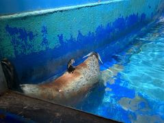 -太平洋海底世界