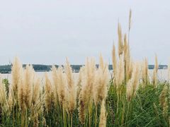 -幕燕滨江·长江观音景区